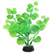 Растение платисковое светящиеся щитолистник зеленый 100мм 027224
