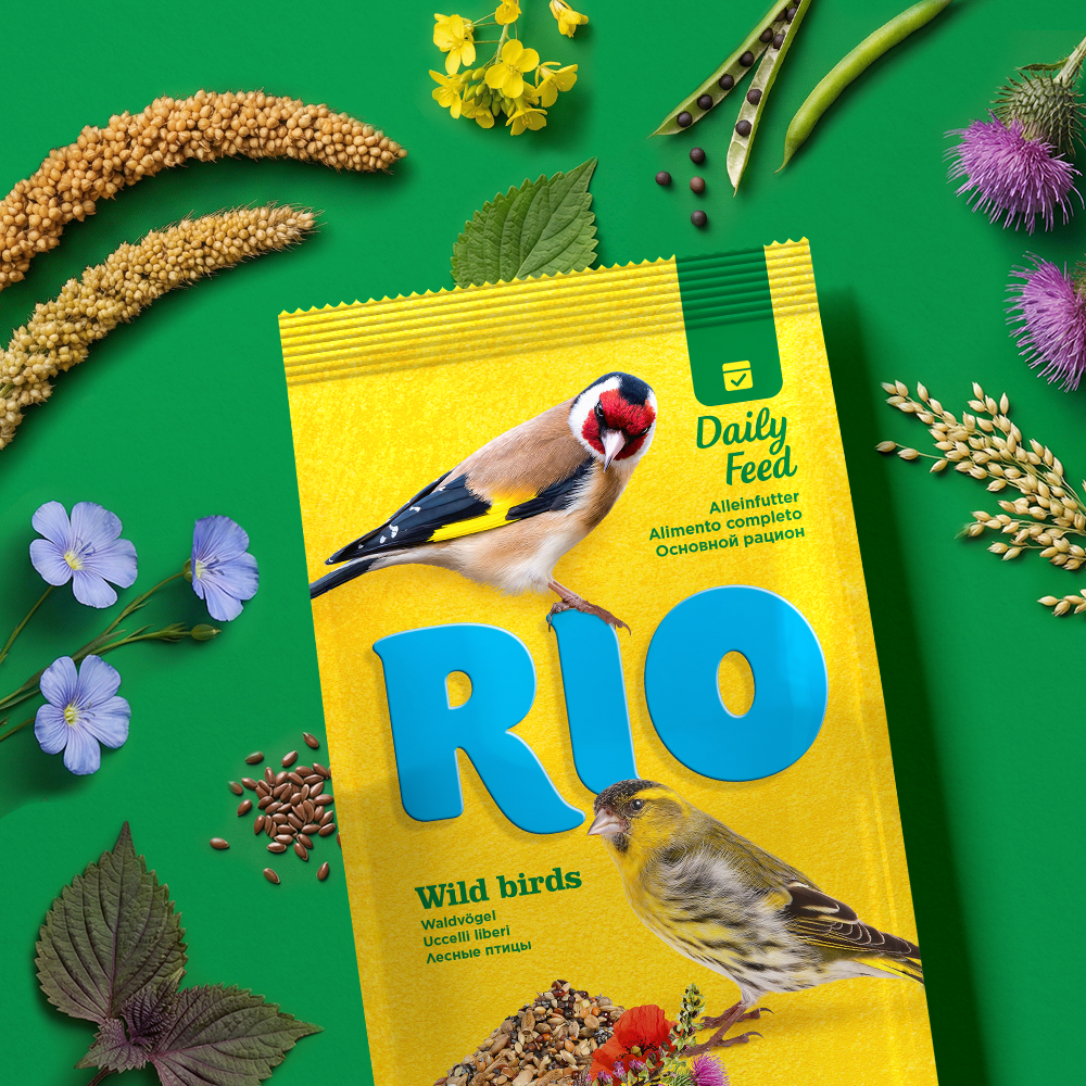 Корм для птиц Rio 500г для лесных и певчих птиц основной рацион-2