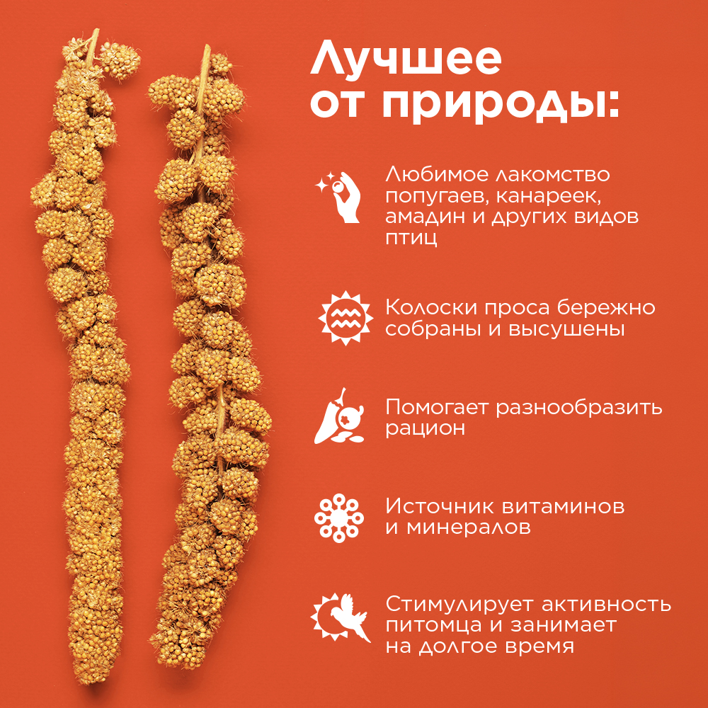 Лакомство Rio Сенегальское просо в колосьях -3