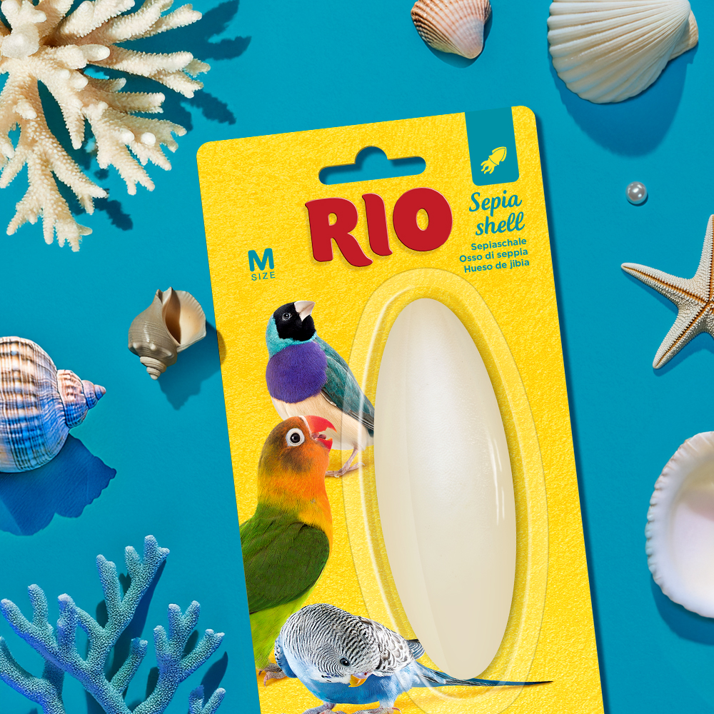 RIO Кость сепии, размер M, 1шт-1