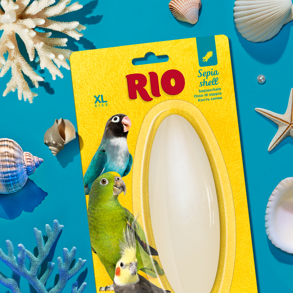 RIO Кость сепии, размер XL, 1шт-1