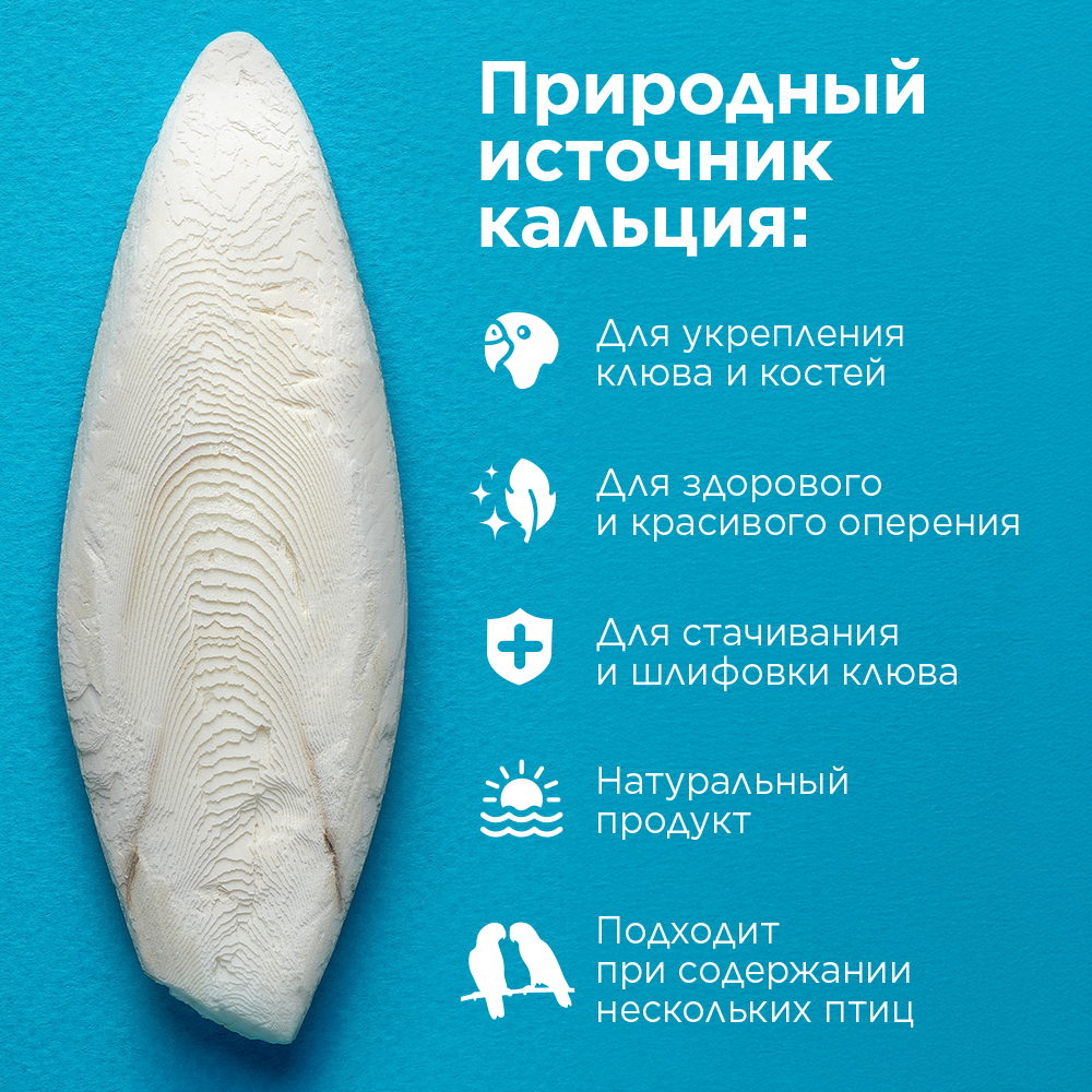 RIO Кость сепии, размер XL, 1шт-3