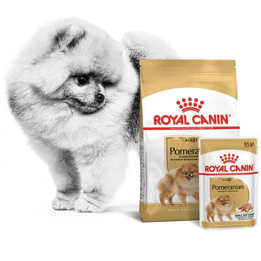 Royal Canin 500 г Pomeranian Adult для собак породы померанский шпиц в возрасте от 8 месяцев-1