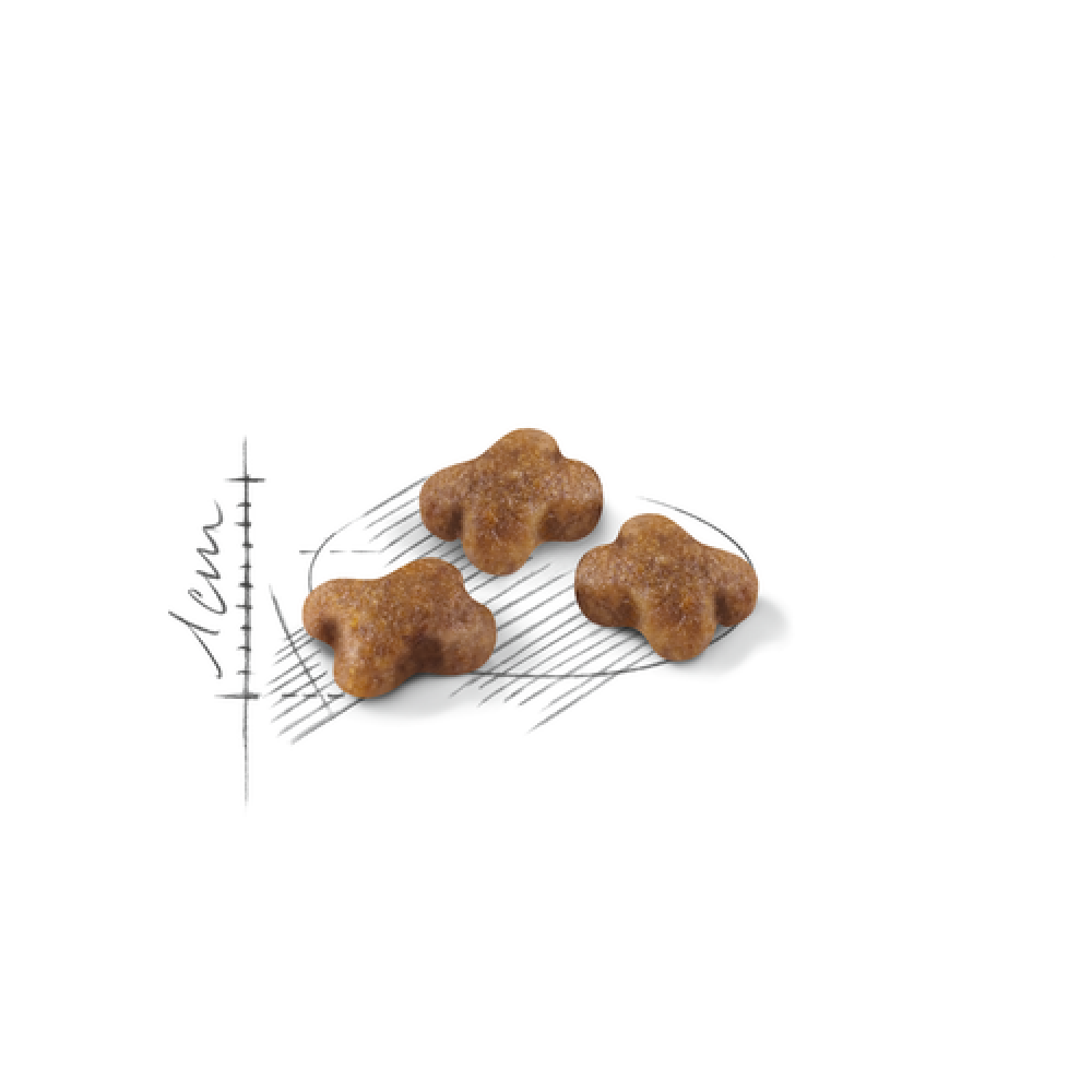 Royal Canin Kitten 1,2 кг для котят от 4 до 12 месяцев -1