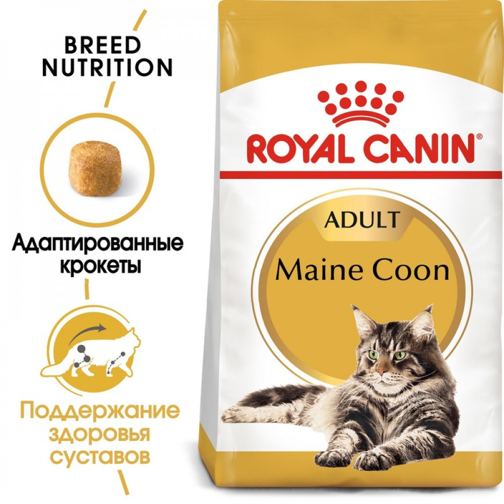 Royal Canin Maine Coon 2 кг для взрослых кошек породы мейн-кун-1